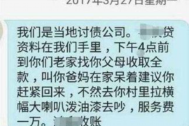 龙陵融资清欠服务